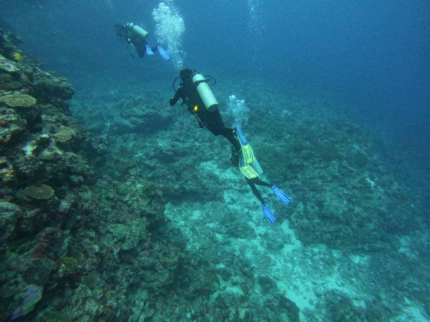 Colorful coral reef in Fiji