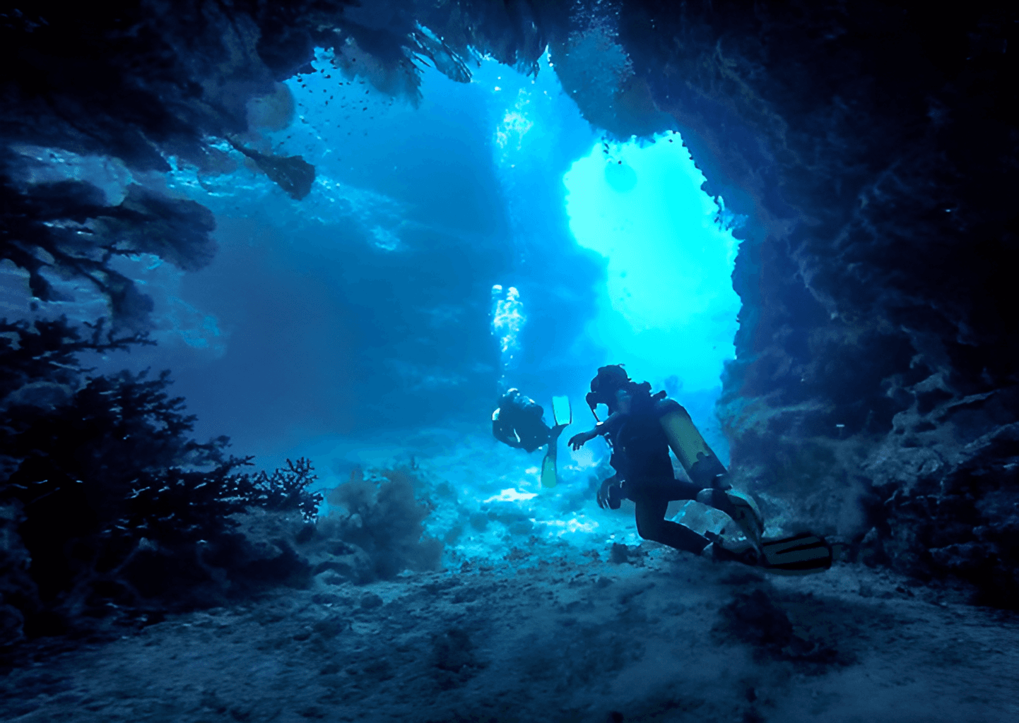 Astrolabe Reef