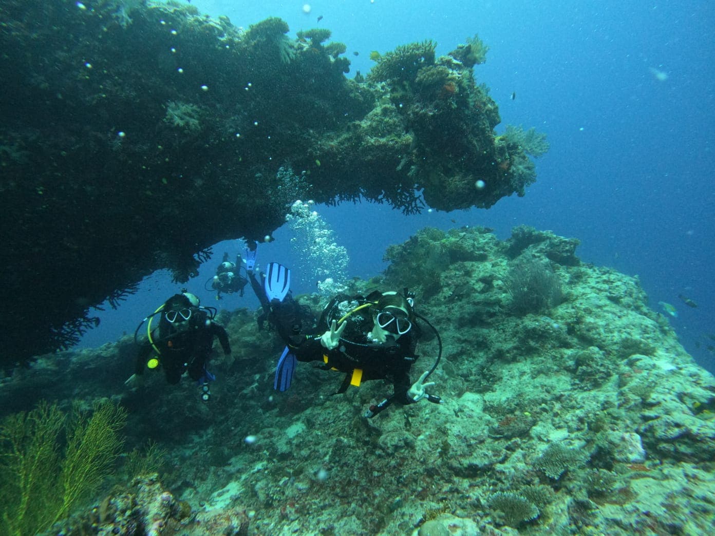 House Reef Access